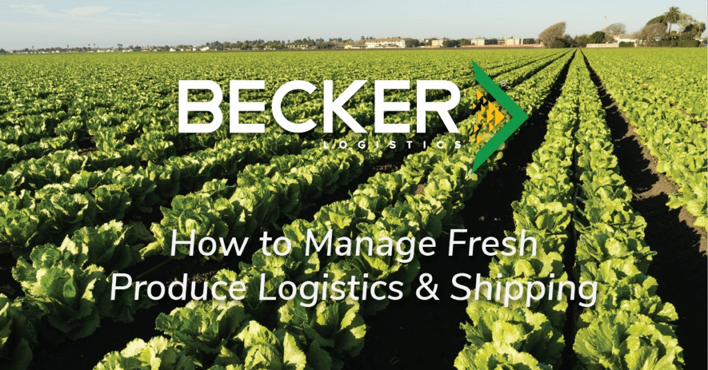 How to Manage Fresh Produce Logistics and Shipping