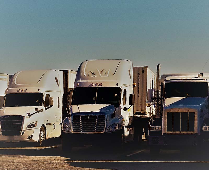 Multiple Trucks to Offer Flexibility and  Innovation in Shipping and Logistics